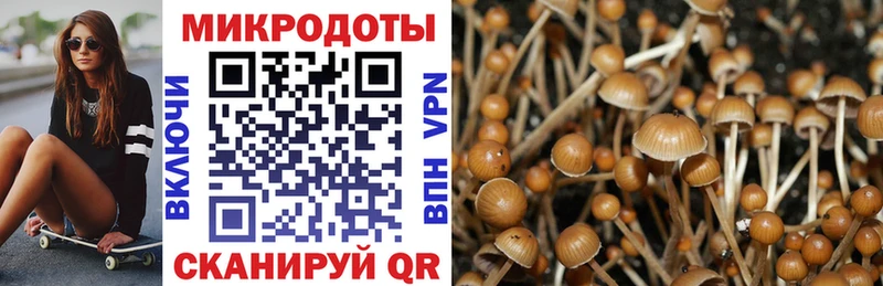 Галлюциногенные грибы Cubensis  Лакинск 